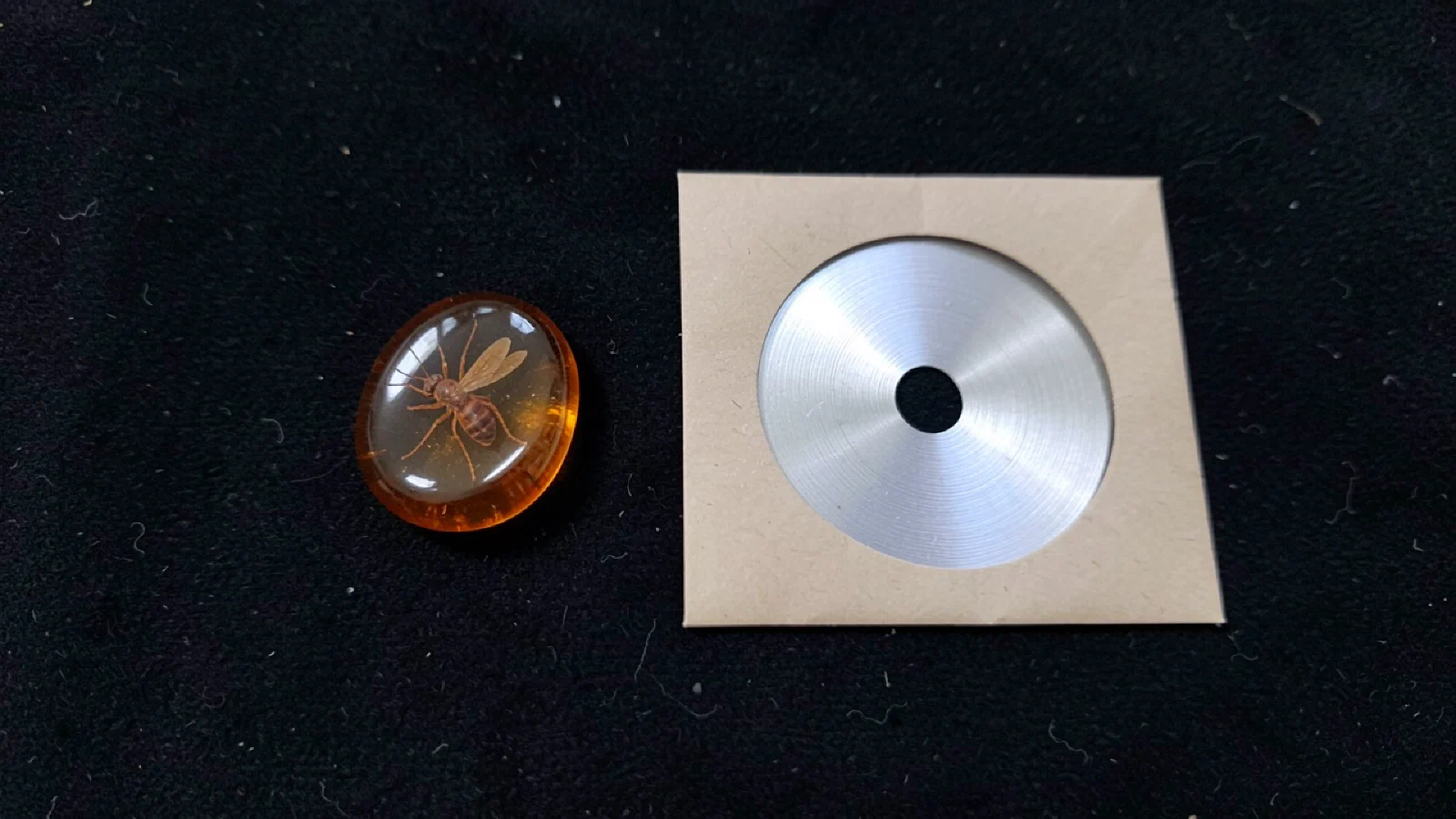 The Amber Question