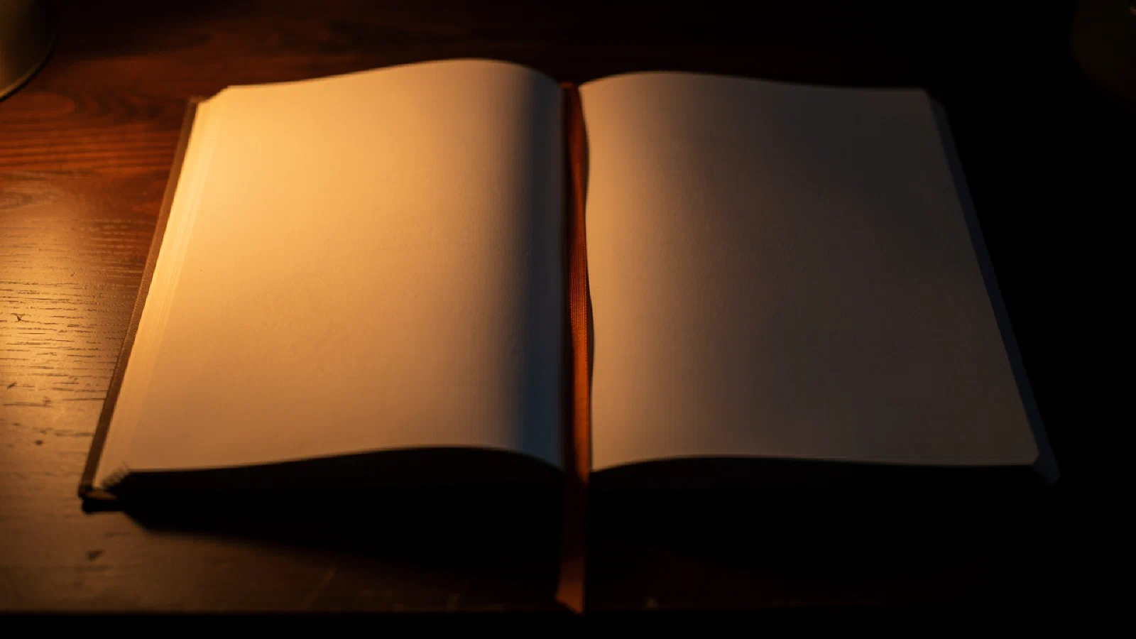 The Two Ledgers
